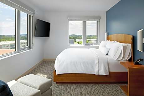 Executive Suite, 1 King, Sofa bed