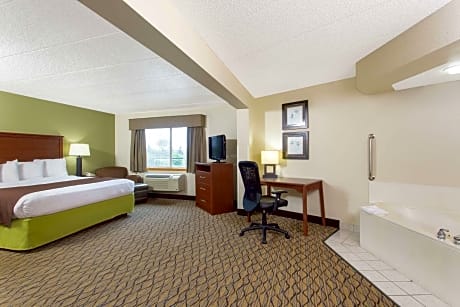 1 king bed, premier suite, non-smoking