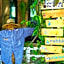 The Scarecrow House