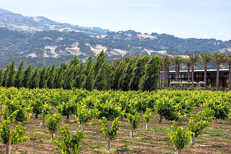 Homewood Suites by Hilton Fairfield-Napa Valley Area