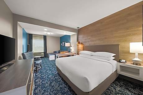 King Suite with Sofa Bed