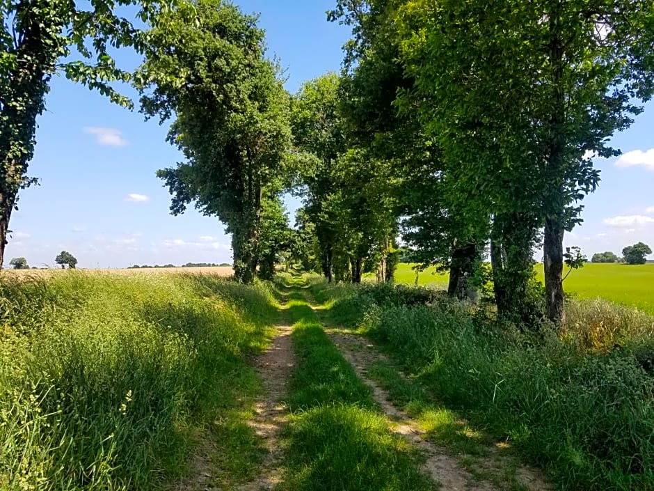 La Vieille Gorce Gîtes in the Vienne