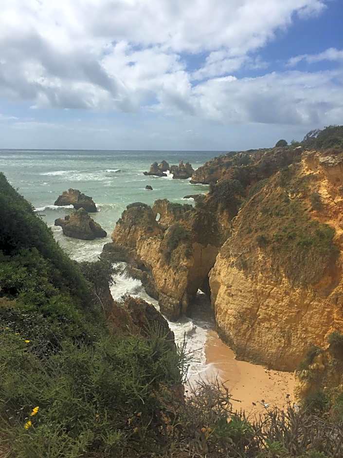 Casa Três Palmeiras