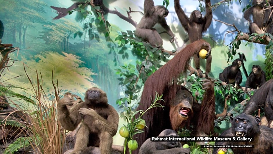 Glamour Hotel and Spa