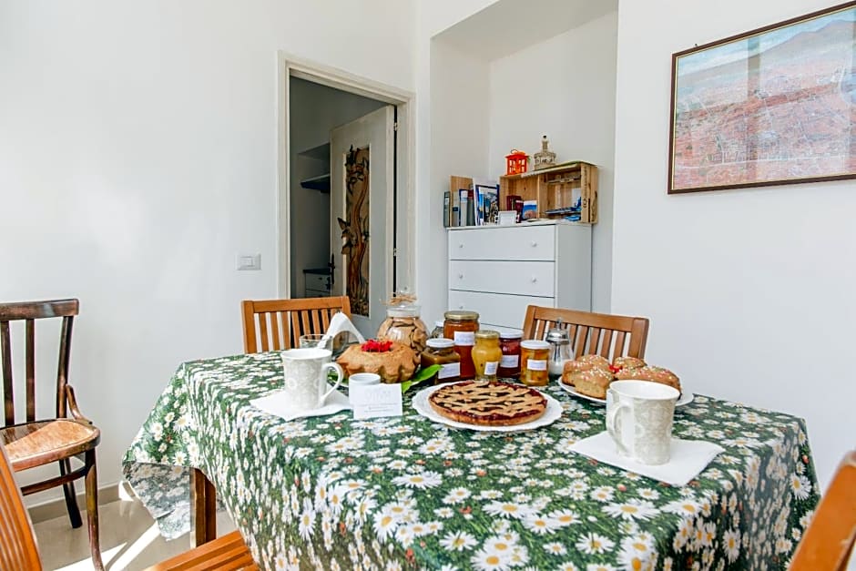 B&B Otium