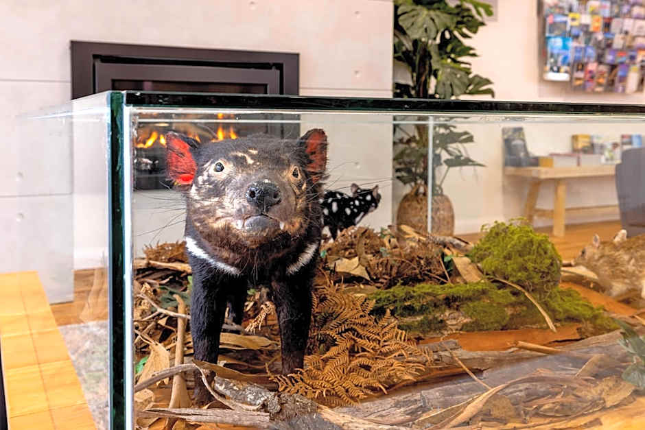 BIG4 Launceston Holiday Park