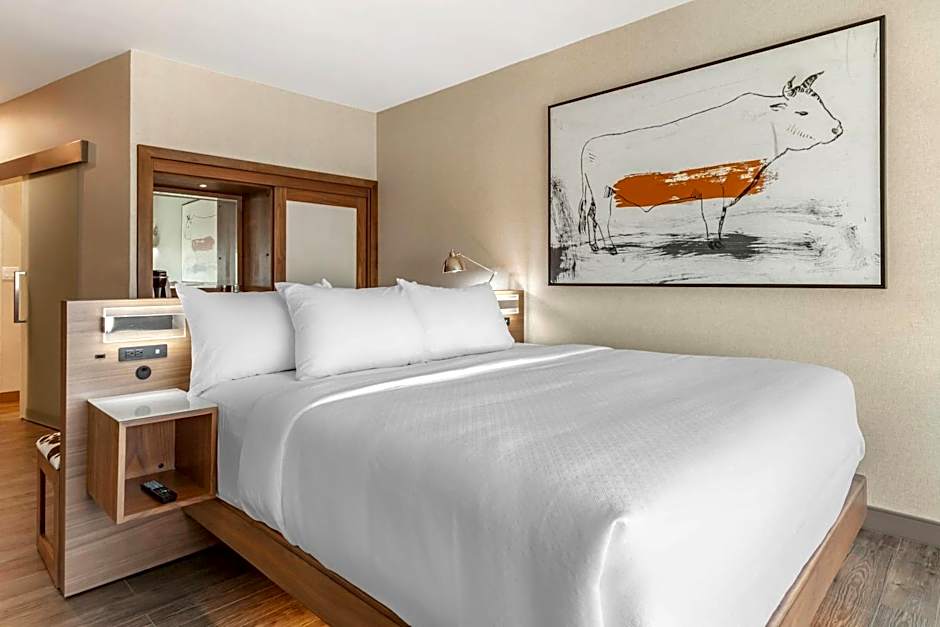 Cambria Hotel Richardson - Dallas