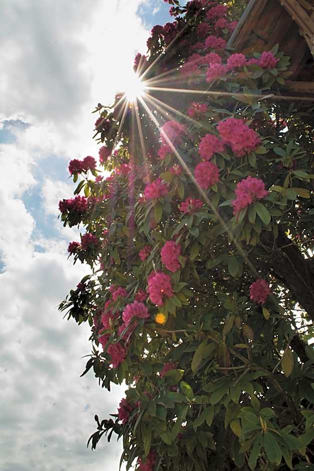 Domaine de Chantemerle