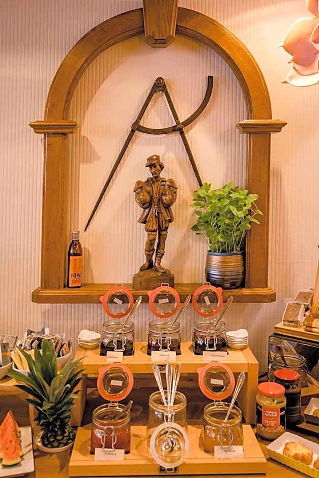 Franconia City Hotel