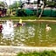 Mae Pon Hostel