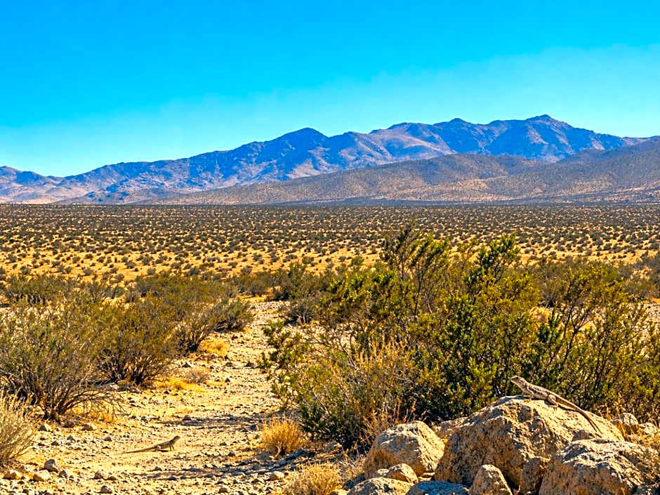 Motel 6 Barstow, CA - Mojave Desert Stop - I-15