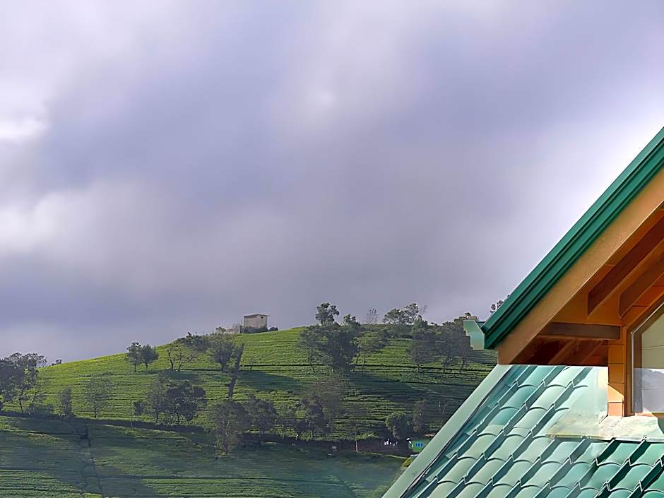 Tea Plant Nuwara Eliya Hotel