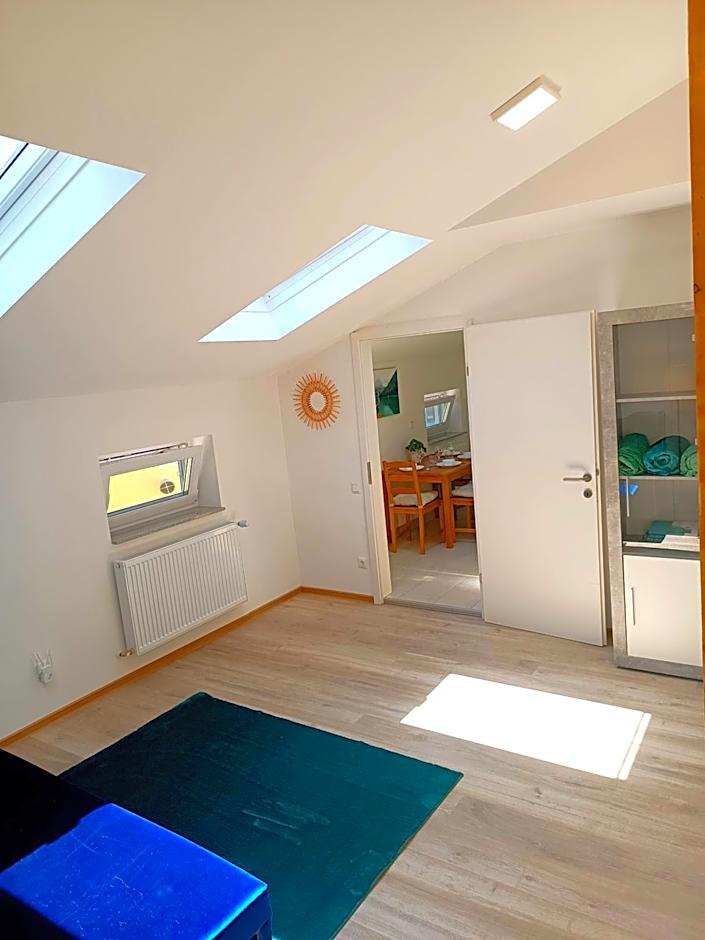 Apartments Romantic and Family Room Zemlinski