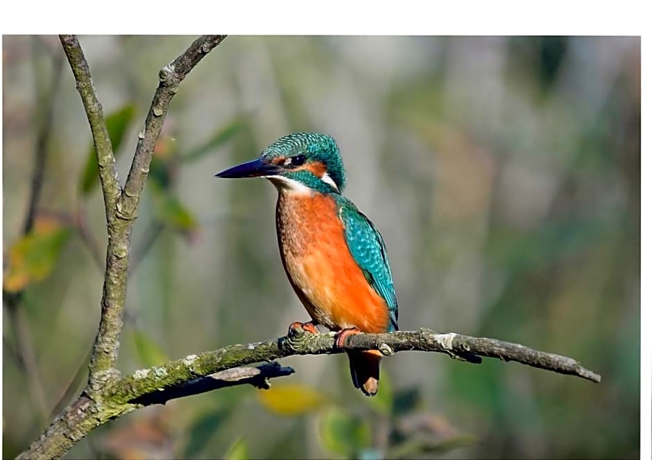 Highfields Holidays bed & breakfast