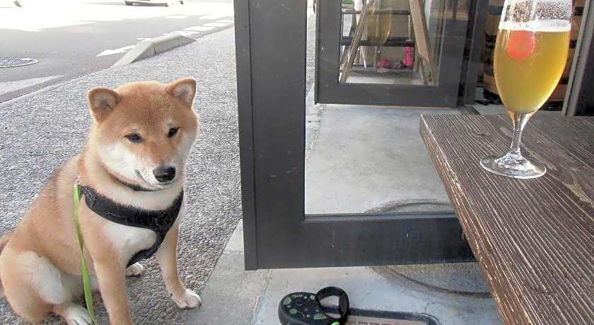 Kanazawa Share House GAOoo