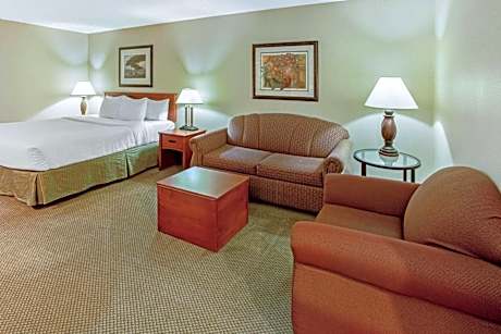 King Studio Suite - Mobility Access/Non-Smoking