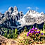 Hotel Alpenblick
