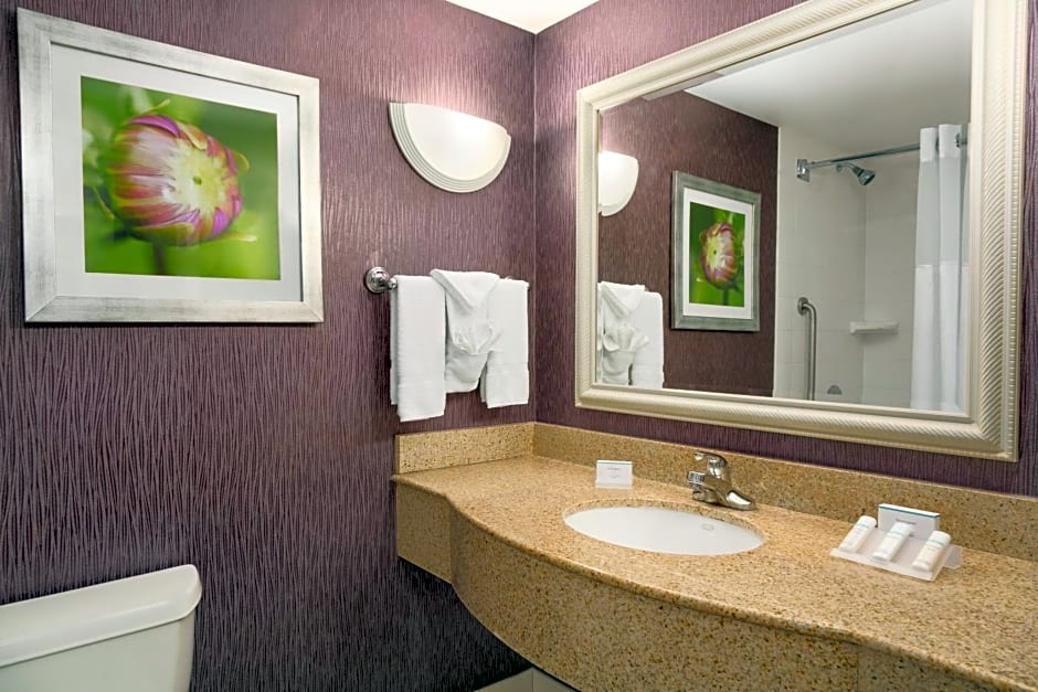 Hilton Garden Inn Springfield, MA