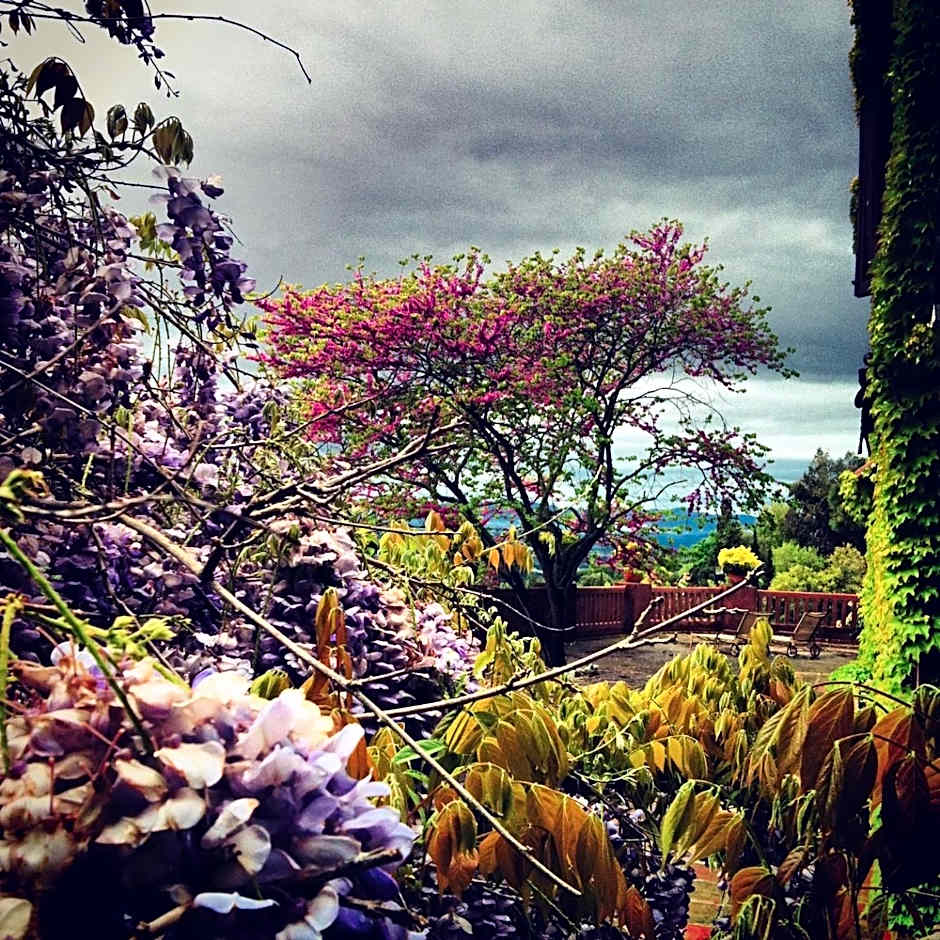 Masia Vista Hermosa