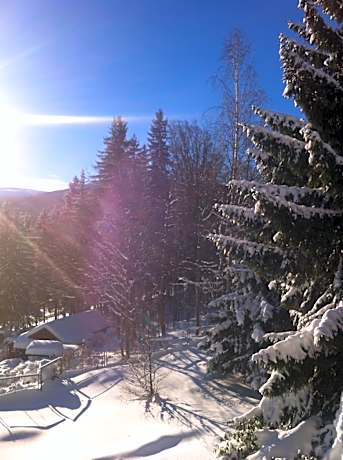 Family Room with Balcony