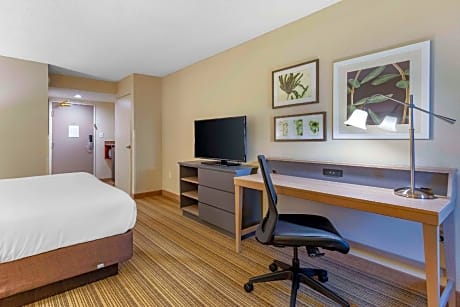 King Room - Non-Smoking