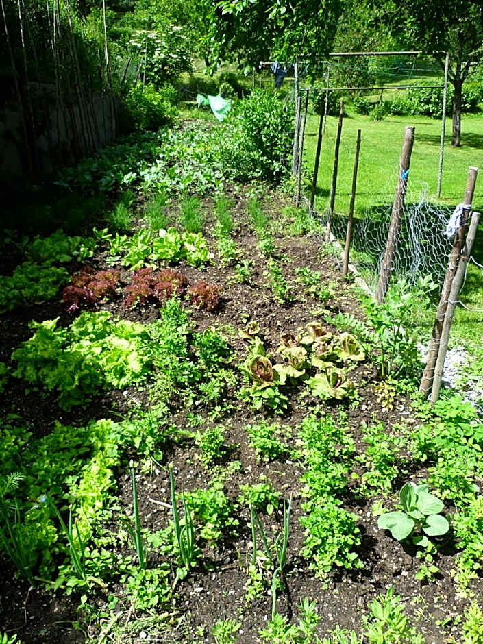 Hotel Vital Bad Bleiberg