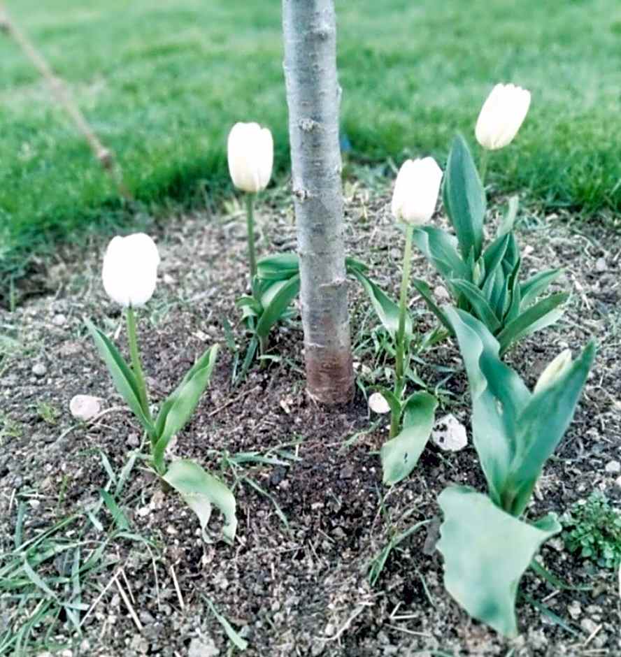 Athol Country Bed & Breakfast