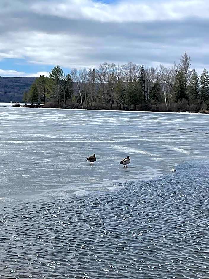 Rangeley Town & Lake