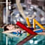 Grand SPA Lietuva Hotel Lietuva
