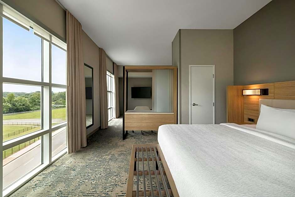 SpringHill Suites by Marriott Roanoke