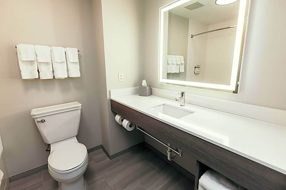 Holiday Inn Express and Suites Urbandale Des Moines By IHG