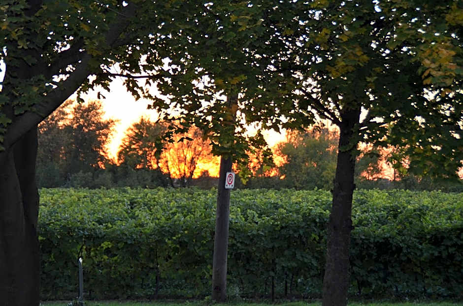 Old Town Country Landing