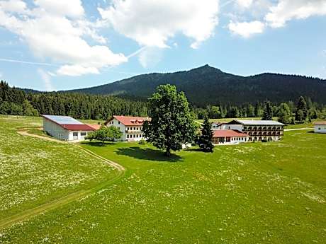 Osserhotel - B&B am Osser