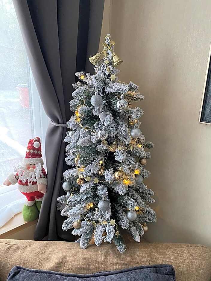 Luxury Holiday Home Happiness at Tattershall lake#