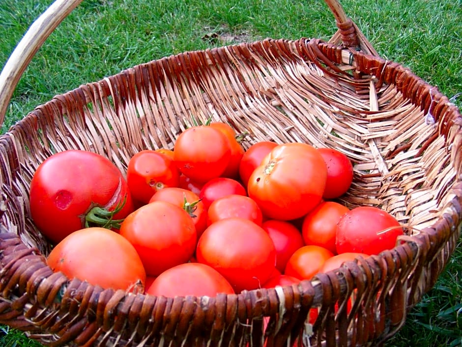 Chambres d'Hôtes Vignes et Loire