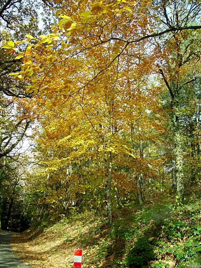 Chambre d’hôtes de Vauguenige