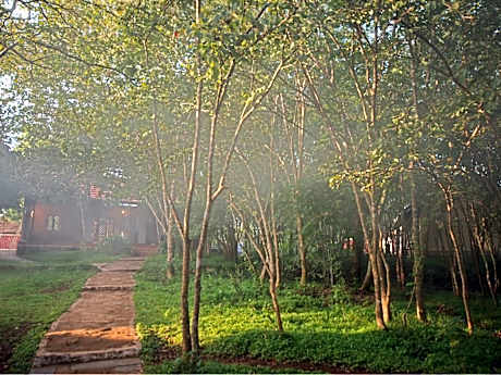 The Windflower Jungle Resorts & Spa Bandipur