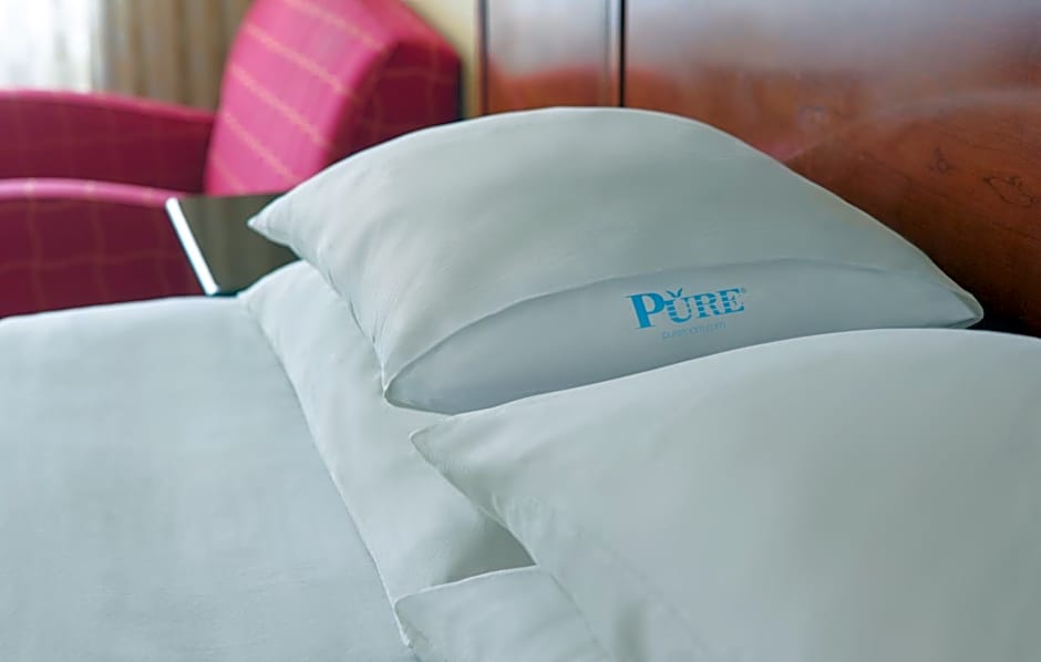 Wyndham Atlanta Buckhead Hotel & Conference Center