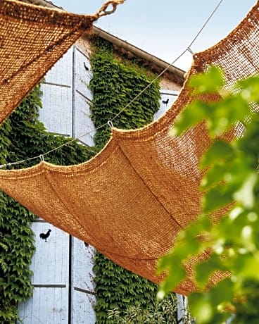 Coq Hotel