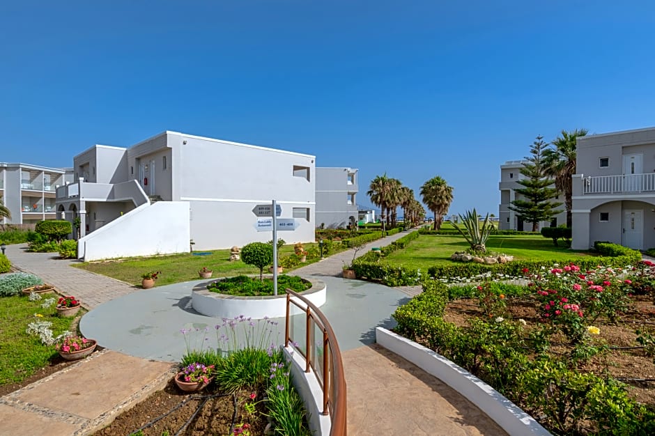 Delfina Tropic Beach