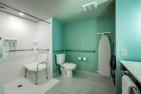 Accessible - 1 Queen  Mobility Accessible, Roll In Shower, Non-Smoking, Full Breakfast