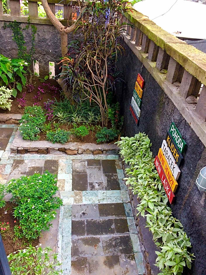 Amed Romance House