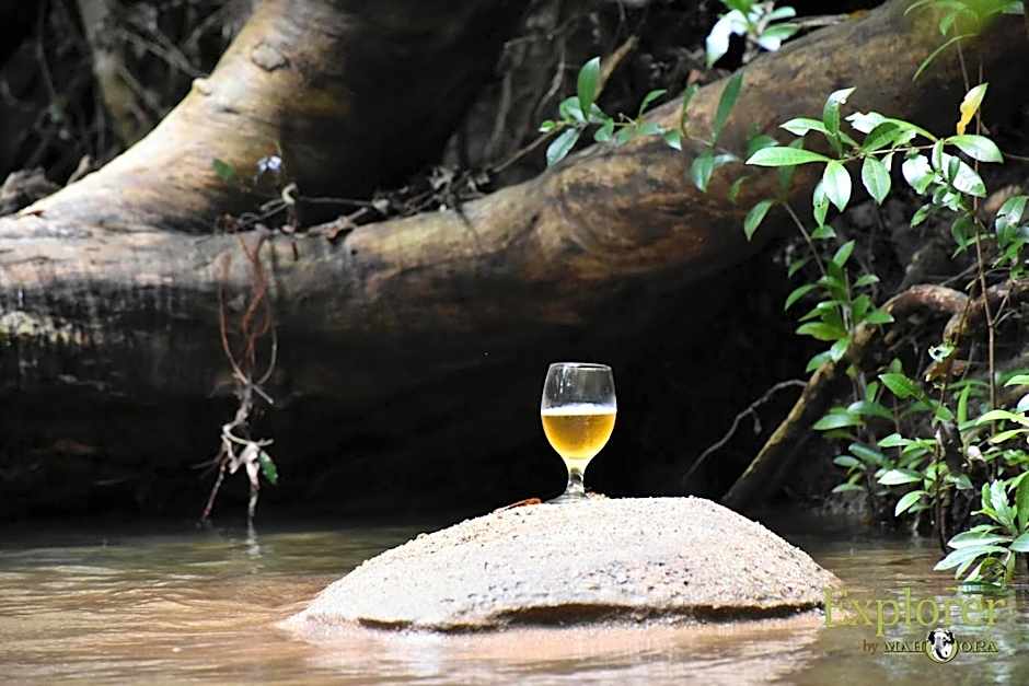 Explorer by Mahoora - Wasgamuwa