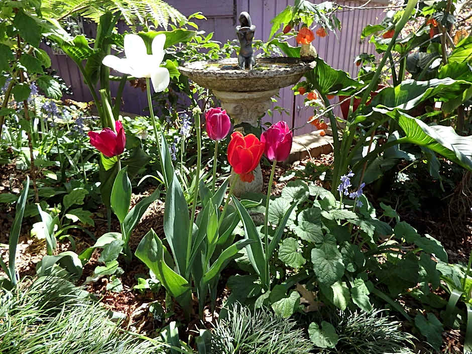 Bowral Road Bed and Breakfast