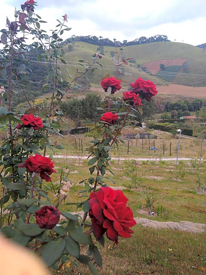 Recanto das Videiras