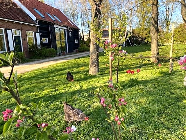 B&B Boerderij De Vaete - Duurzaam genieten in de zak van Zuid-Beveland