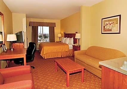 Comfort Inn and Suites - Craig Road