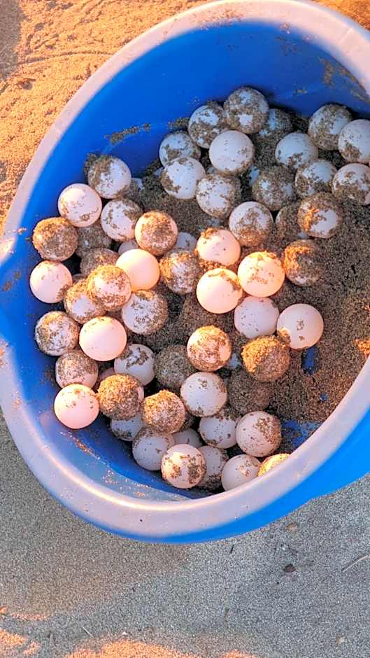 Villa Star of the Sea