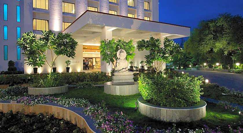 Marigold By Green Park