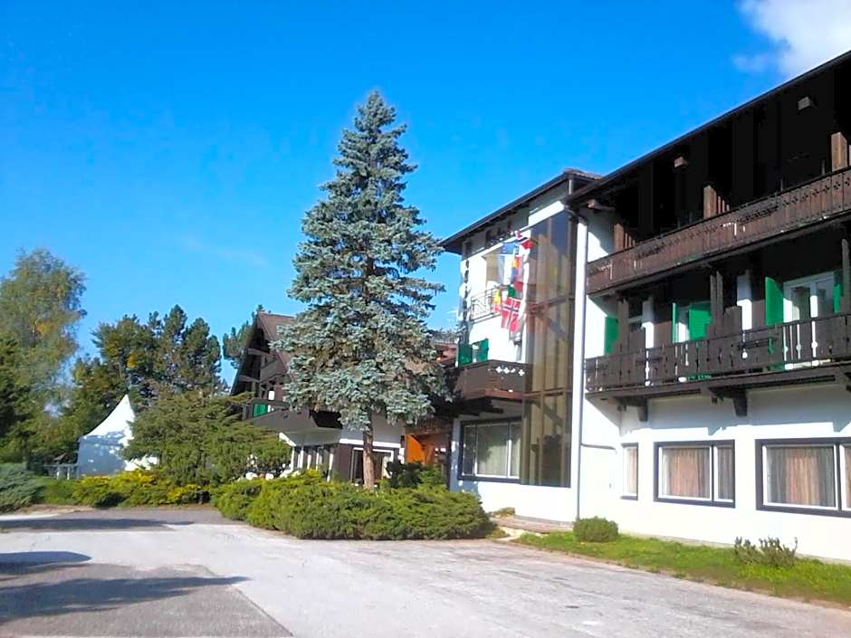 Hotel Regina Delle Dolomiti